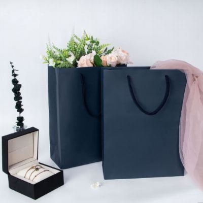 Birthday Gift Paper Bag suppliers